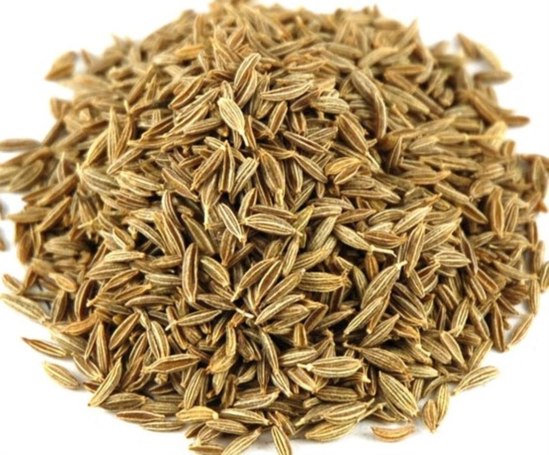 Cumin Seeds Bengali Meaning At Douglas Wilder Blog Cumin Seeds Bengali Meaning At Douglas Wilder Blog